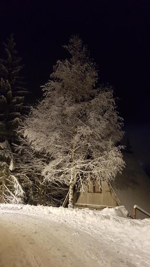 Hotel Sirius Club Kopaonik Exteriér fotografie