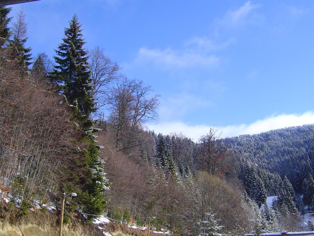 Hotel Sirius Club Kopaonik Exteriér fotografie